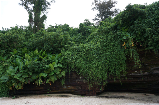 滴水丹屏 北海旅游网