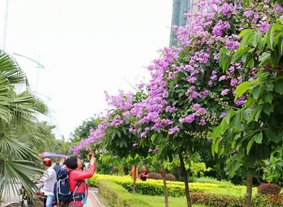 北海旅游，广西北海旅行社