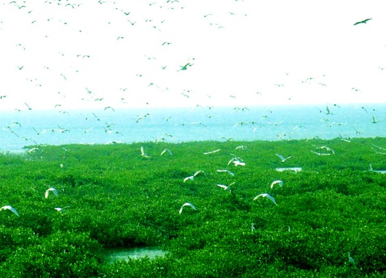 北海旅游，广西北海旅行社