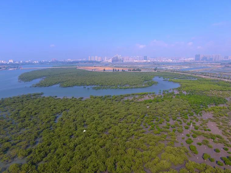 广西北海滨海国家湿地公园管理处 荣获"全国
