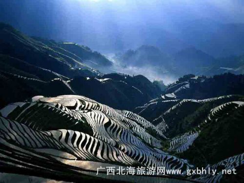 龙脊梯田